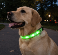 LED Pet Safety Collar